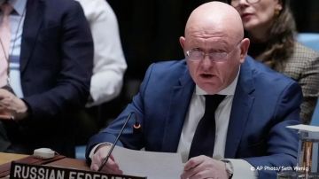 За период с 25 по 31 мая от обстрелов ВСУ пострадали 217 мирных жителей России, погибли 35 человек, сообщил Небензя