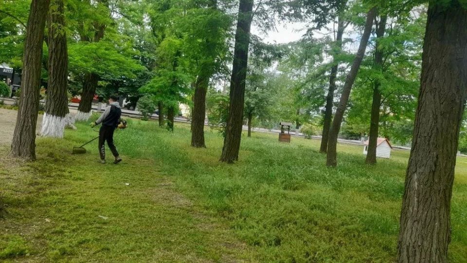 В Скадовском округе навели чистоту: общее дело ради уюта и порядка В Скадовском округе навели чистоту: общее дело ради уюта и порядка