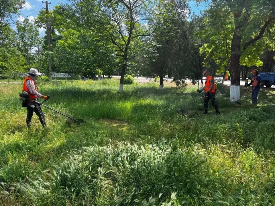 Плановые работы по благоустройству: наводим чистоту и порядок в округе Плановые работы по благоустройству: наводим чистоту и порядок в округе