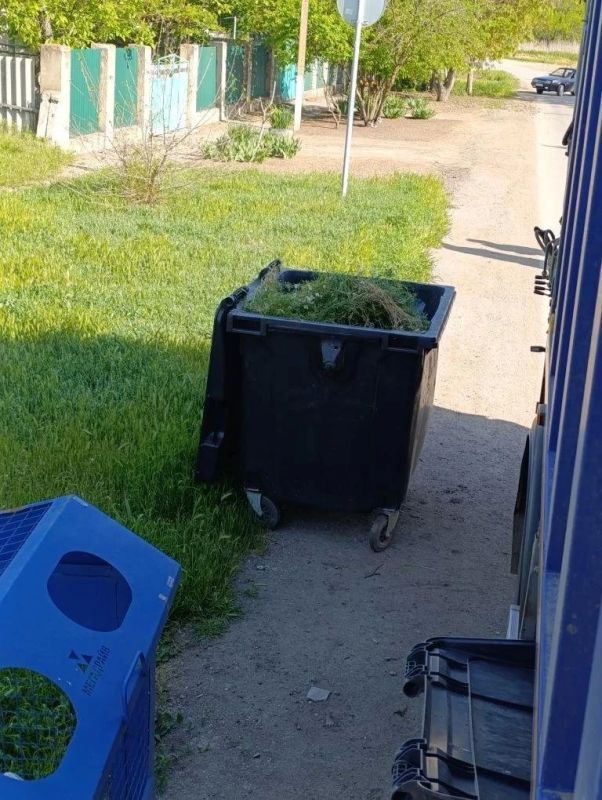 Трава и ветки — не ТКО: что нужно знать жителям частного сектора Трава и ветки — не ТКО: что нужно знать жителям частного сектора