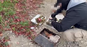 Крымчанин получил три года колонии за незаконный оборот оружия, взрывчатых веществ и взрывных устройств