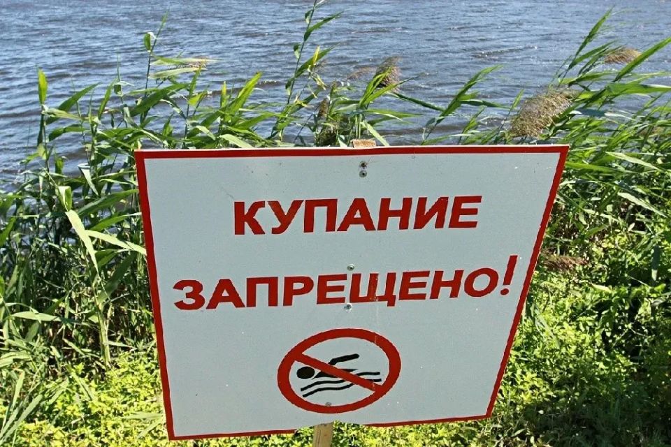 Лабораторией ФБУЗ «Центр гигиены и эпидемиологии в Херсонской области» проведены исследования проб воды поверхностного водоема в точке: «Херсонская область, Новотроицкий муниципальный округ, с. Заозерное, акватория ставка с...
