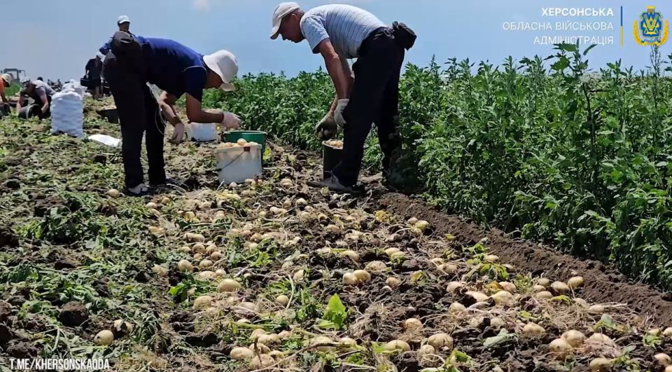 А на том берегу.... Правобережье Херсонщины: обзор новостей за день (дополняется) А на том берегу.... Правобережье Херсонщины: обзор новостей за день (дополняется)