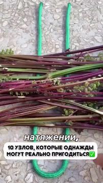 ����� ��������� ����, ����� ���� ����������