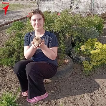 Первые и их любимцы!. Друзья, наша пушистая рубрика продолжается! Сегодня о своих домашних питомцах рассказывает активистка Движения Первых Строгановской школы Чаплинского округа Варвара Старкова