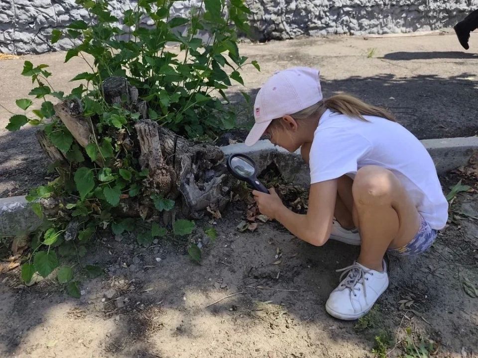 Юные исследователи природы: полевое занятие в летнем лагере Приморской школы Юные исследователи природы: полевое занятие в летнем лагере Приморской школы