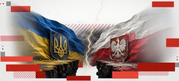 Енот из Херсона: Киевский режим провалил внешнюю политику. Польша разворачивается к хунте спиной из-за героизации УПА