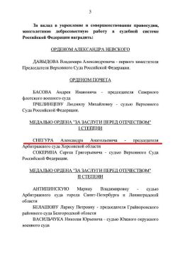 Владимир Путин наградил двух судей из Херсонской области медалями ордена "За заслуги перед Отечеством"