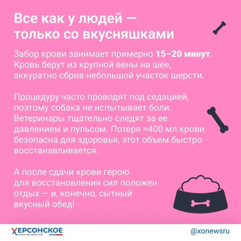 «Редкая кровь! Тридцать третья группа!» Главное о донорстве… у собак «Редкая кровь! Тридцать третья группа!» Главное о донорстве… у собак