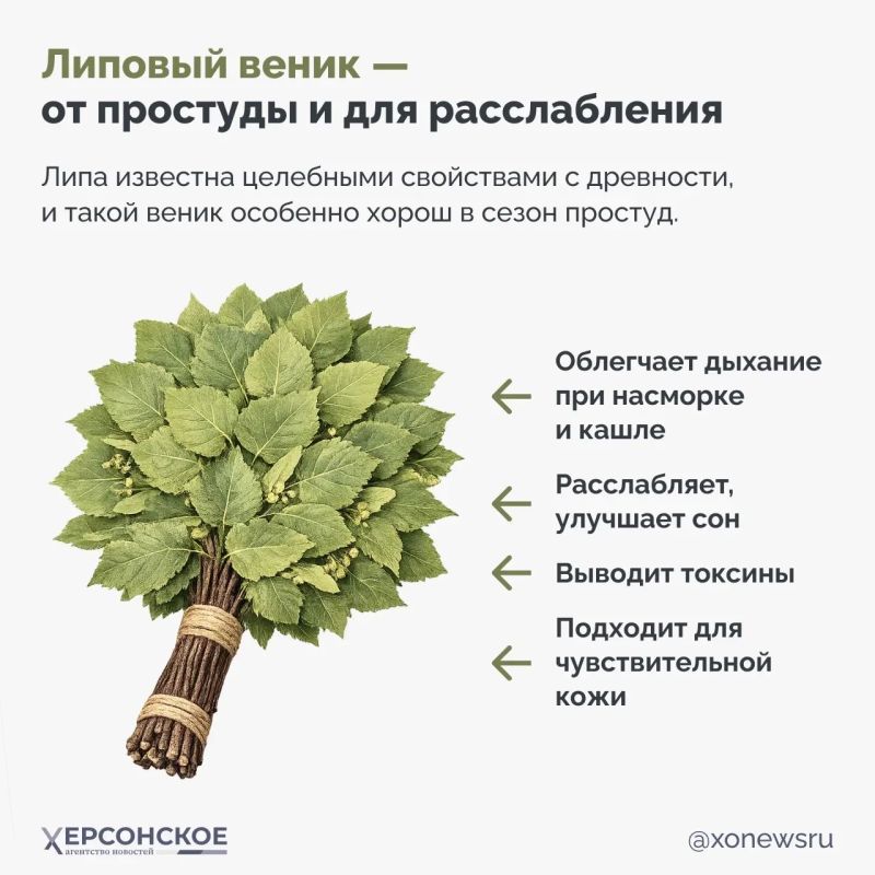 Идите в баню!. И мы пойдем, потому что сегодня отмечают Международный банный день Идите в баню!. И мы пойдем, потому что сегодня отмечают Международный банный день