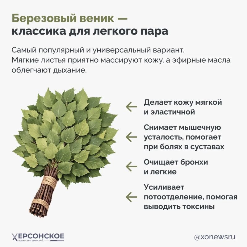 Идите в баню!. И мы пойдем, потому что сегодня отмечают Международный банный день Идите в баню!. И мы пойдем, потому что сегодня отмечают Международный банный день