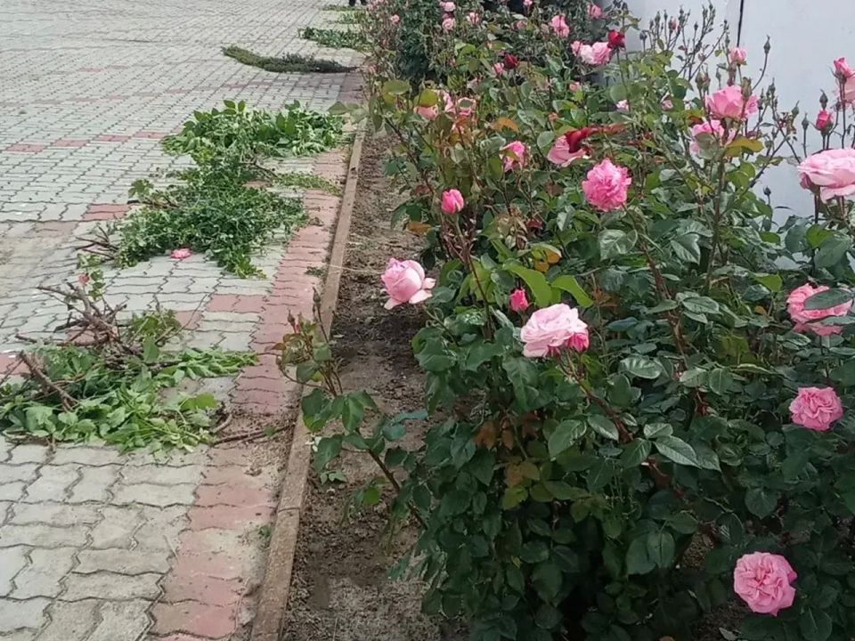 Подводим итоги недели в сфере коммунального хозяйства в рубрике #конкретные_дела_АМО Подводим итоги недели в сфере коммунального хозяйства в рубрике #конкретные_дела_АМО
