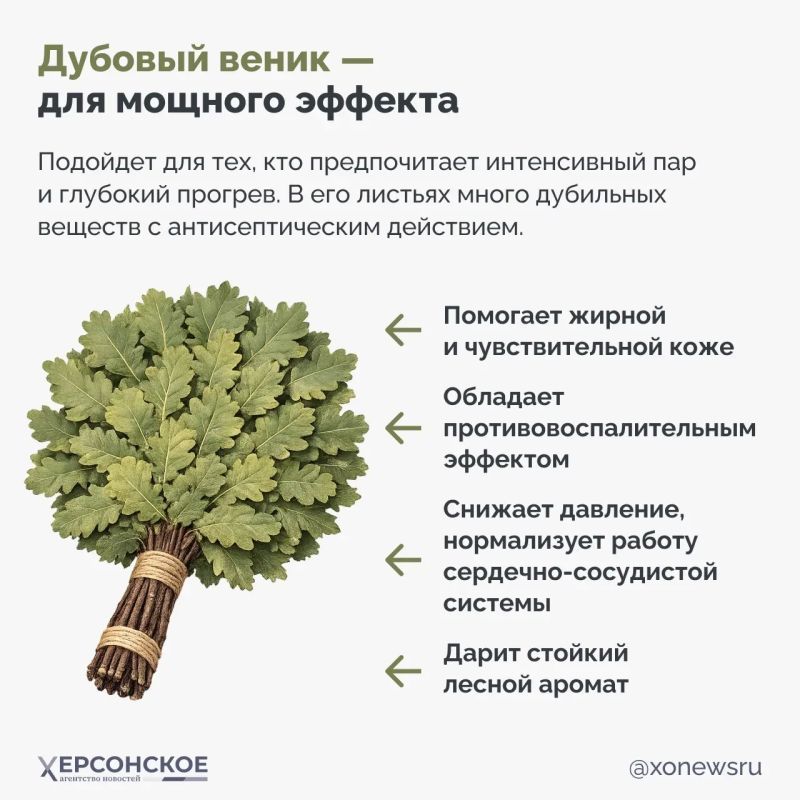 Идите в баню!. И мы пойдем, потому что сегодня отмечают Международный банный день Идите в баню!. И мы пойдем, потому что сегодня отмечают Международный банный день