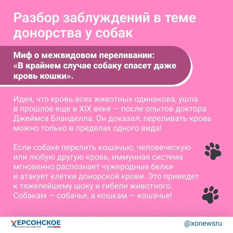 «Редкая кровь! Тридцать третья группа!» Главное о донорстве… у собак «Редкая кровь! Тридцать третья группа!» Главное о донорстве… у собак