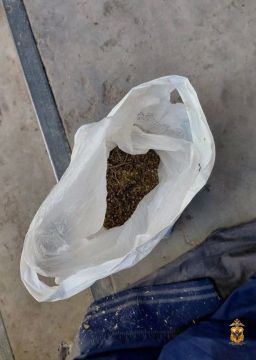 Полицейские изъяли растительный наркотик у жителя Чаплынского округа