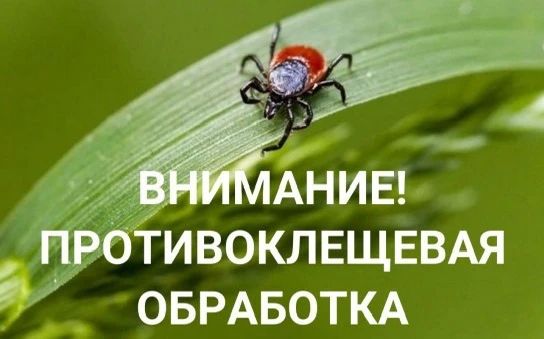 ВНИМАНИЕ!. 17 июня 2026 года будет проводится акарицидная обработка против клещей на следующих территориях: