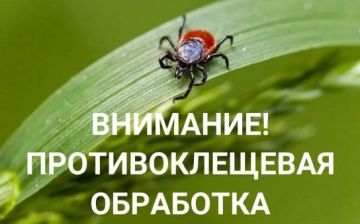 ��������!. 17 ���� 2026 ���� ����� ���������� ����������� ��������� ������ ������ �� ��������� �����������: