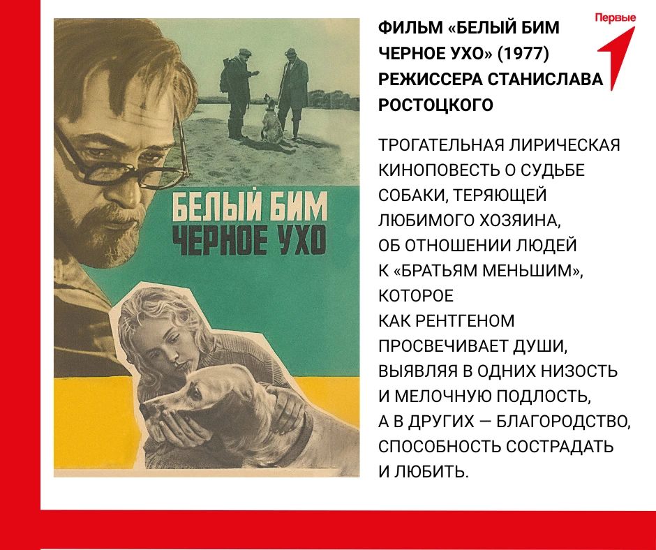 Смотрим кино с Первыми. Зачем ходить в кинотеатр, если можно устроить его у себя дома! Зовите друзей, запасайтесь попкорном, выбирайте фильм из нашей подборки и наслаждайтесь — несколько захватывающих часов вам... Смотрим кино с Первыми. Зачем ходить в кинотеатр, если можно устроить его у себя дома! Зовите друзей, запасайтесь попкорном, выбирайте фильм из нашей подборки и наслаждайтесь — несколько захватывающих часов вам...