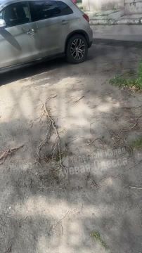 � ������ �������������� ��������� �� ���� ������ ���������, ����� ���� �� ������ ���� ������� ������, �������� ������� �������