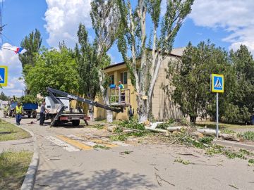 Евгения Кузьменко: Продолжается санитарная обрезка аварийных деревьев в пгт
