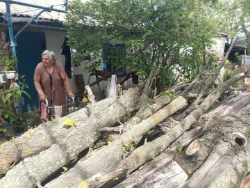 По поручению главы округа: доставка дров участнику Великой Отечественной войны