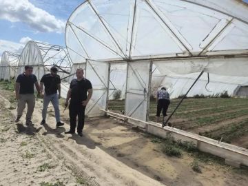 В Голопристанском лесоохотничьем хозяйстве оценили состояние лесного питомника