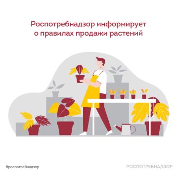 Правила продажи растений. С началом дачного сезона становится актуальной покупка растений для садовых участков, огородов и домашнего выращивания