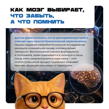 ������� ��� �����, ��� �������