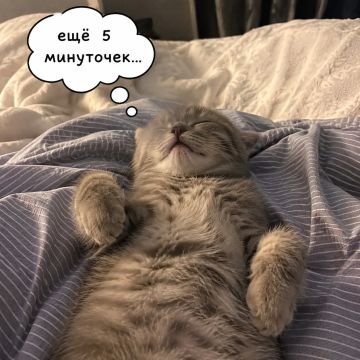 � ��� �������� ���� �������?
