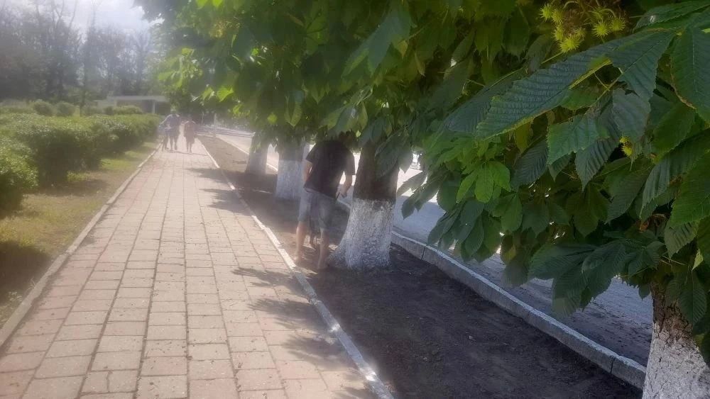 В Скадовском округе привели в порядок Стелу воинам Великой Отечественной войны В Скадовском округе привели в порядок Стелу воинам Великой Отечественной войны