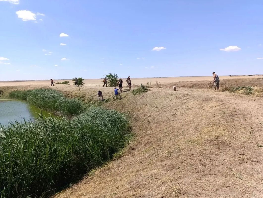 В НОВОВАСИЛЬЕВКЕ БЛАГОУСТРОИЛИ ТЕРРИТОРИЮ ПРУДА В НОВОВАСИЛЬЕВКЕ БЛАГОУСТРОИЛИ ТЕРРИТОРИЮ ПРУДА