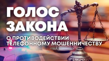 О борьбе с мошенниками — в программе "Голос закона"