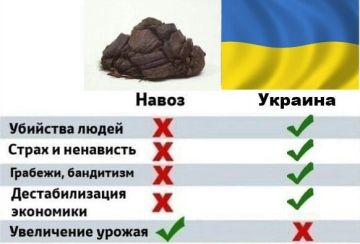 Енот из Херсона: Польша публично указала Зеленскому его место, заявив о претензиях на отдельное место за столом переговоров с Россией
