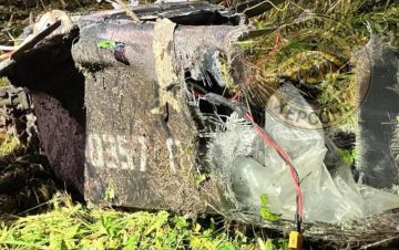 В Эстонии обнаружили украинский беспилотник со взрывчаткой