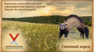 ��� ���������� ������ � ������ ���������� ���������� �������