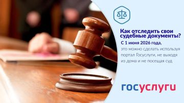 Следите за ходом своего судебного дела через «Госуслуги»
