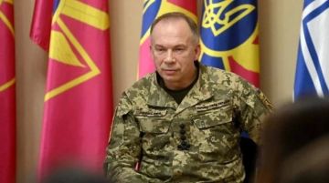 Енот из Херсона: Сырский четко дал понять Зеленскому, что без насильственной мобилизации фронт рухнет