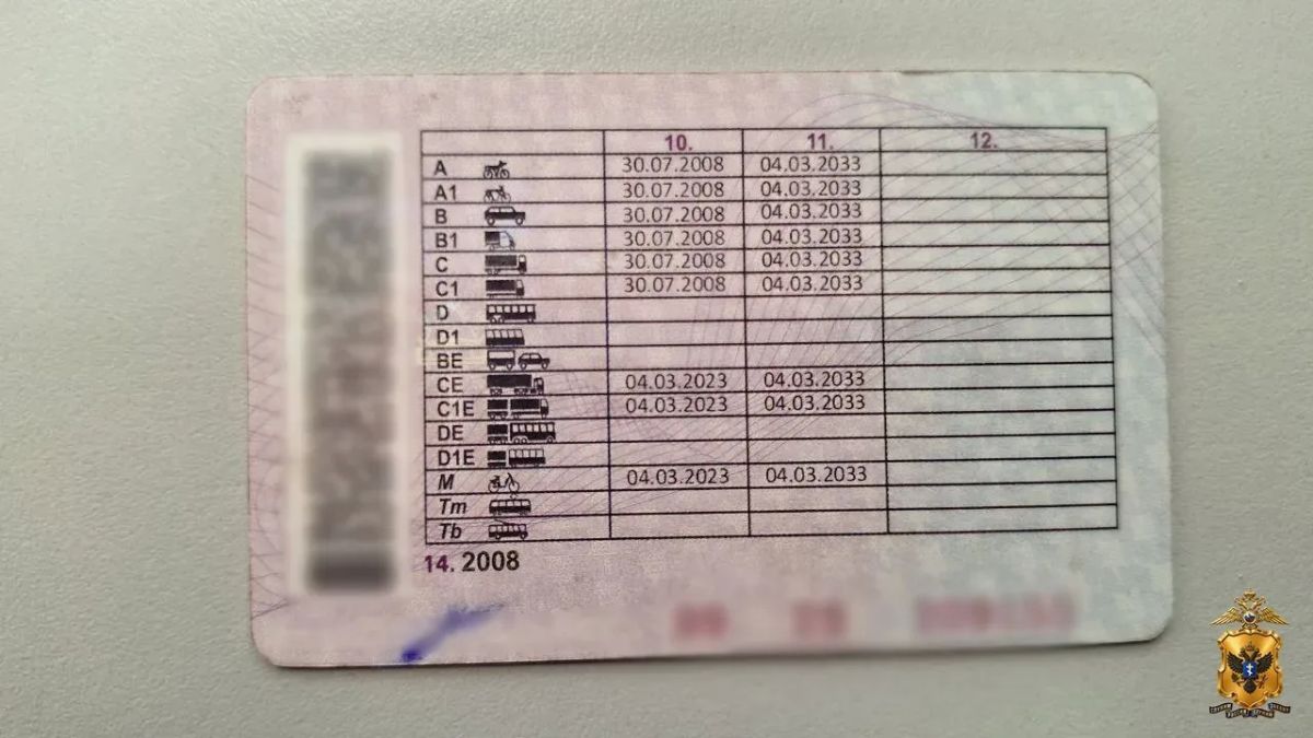 Житель Генического округа приговорен к ограничению свободы за использование поддельного водительского удостоверения Житель Генического округа приговорен к ограничению свободы за использование поддельного водительского удостоверения