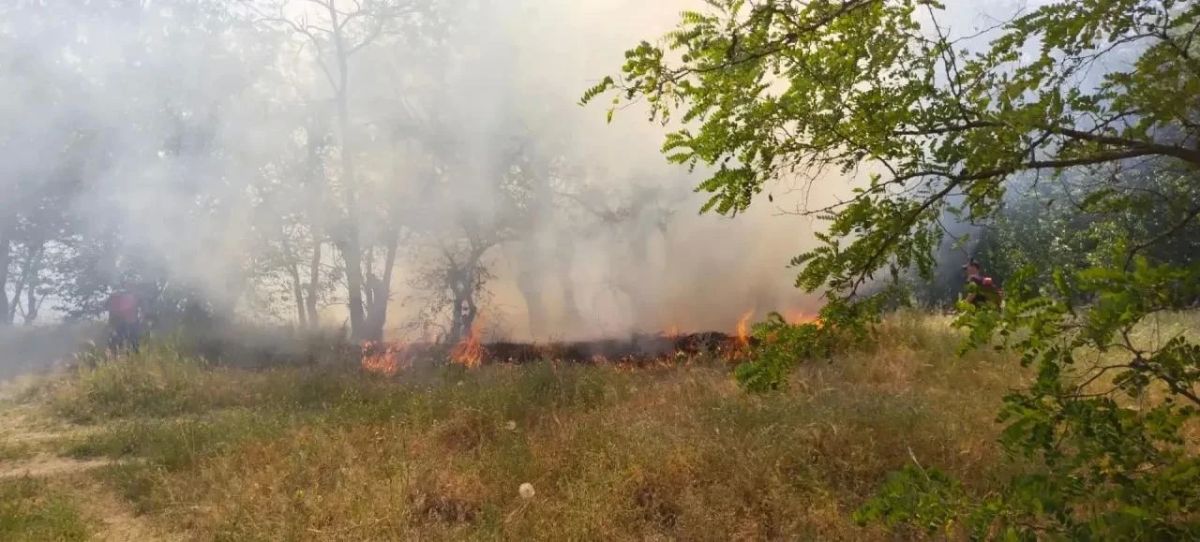 Четыре возгорания ликвидировано голопристанскими лесниками Четыре возгорания ликвидировано голопристанскими лесниками