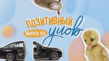 "Позитивный улов" — дайджест удивительных новостей со всего мира