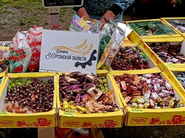 Ярмарки на Левобережье Херсонской области - 52 постоянно действующих площадки, где каждый день начинается с движения и улыбок!