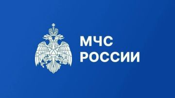 МЧС России напоминает:. Солнце траву не зажигает