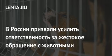 ������� � �������� ������������, ����������������� �������� ��������������� �� ��������� ��������� � ��������� � ��������� �� ���������� ������� Lenta.ru