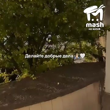 ������������� ���� ���������� ����� ������ ��� ����������� ���������������� ���������