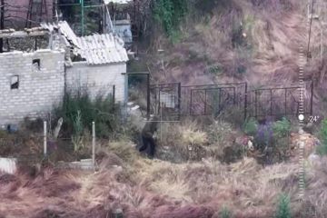 ���� � ������������� ��������� ��� ���������� � ���������� �������