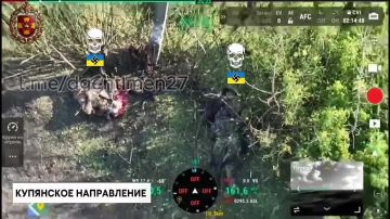 �������� ���������� ������������