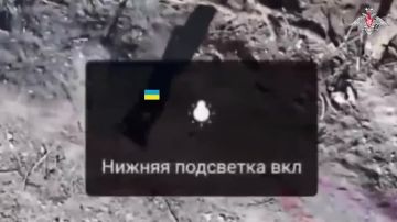 �� �� ������������ � ���������������� �������: �������������� � ����