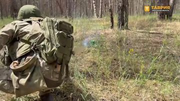 ����������� ������-���������� ����������� ��������������� ��������� FPV-����� � ���������� �������