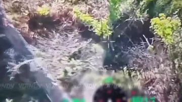 �������� ����� ������������ ����������� � ������ � �������