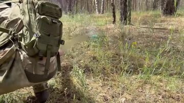 ���� �� �������: �������������� 98-� ����������� ��������-��������� ������� ����������� ��������������� ��������� ����������� FPV-����� �� ��������� �����������